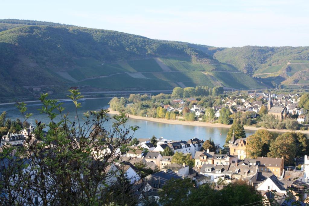 Ohm Patt Boppard