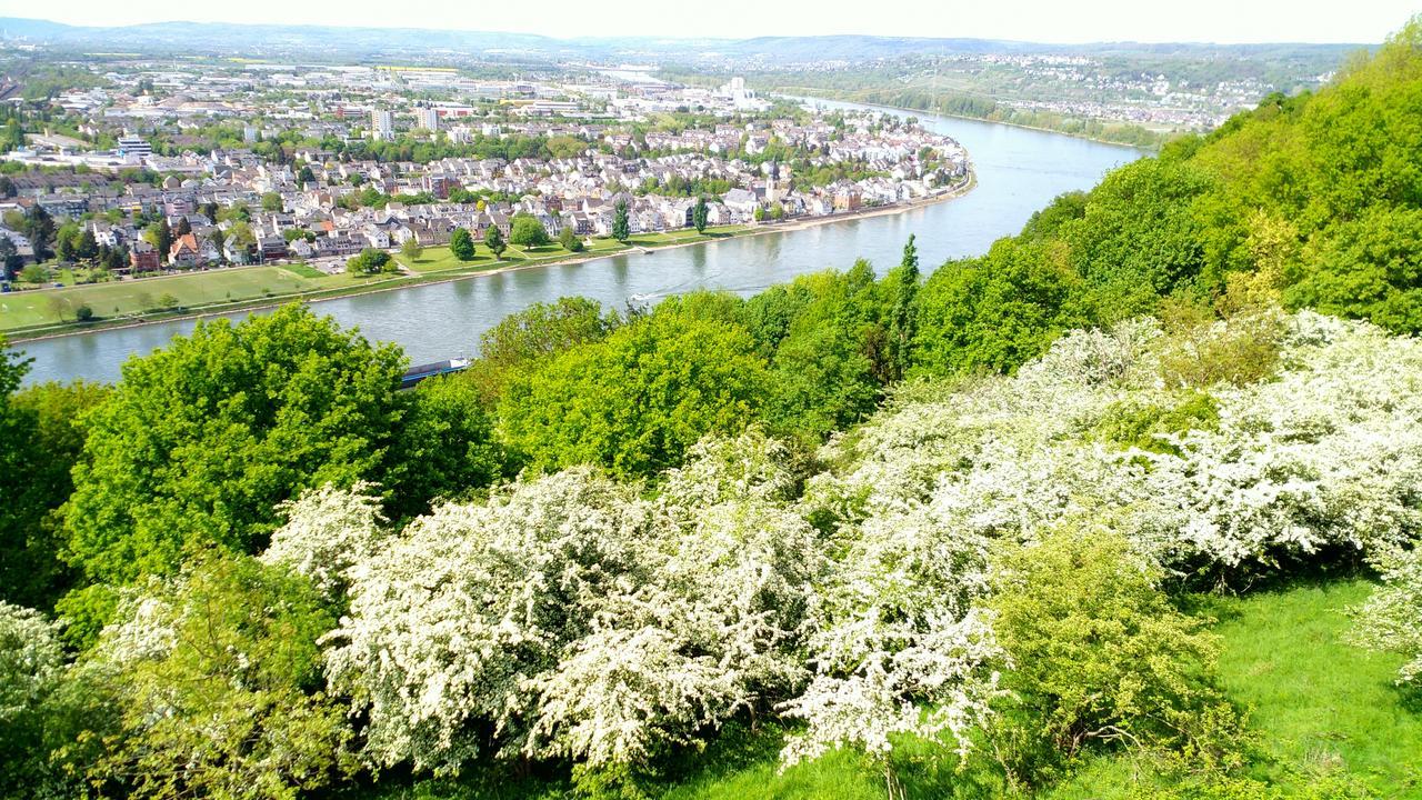 Ohm Patt Hotel Boppard