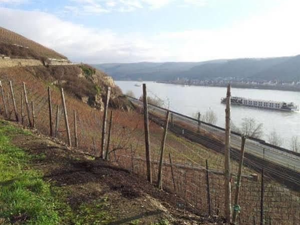 Ohm Patt 2* Boppard
